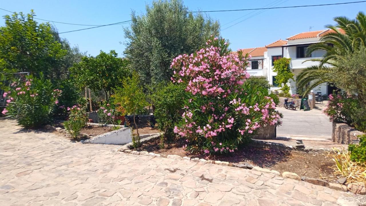 Anessis Cosmos Aparthotel Ánaxosz Kültér fotó